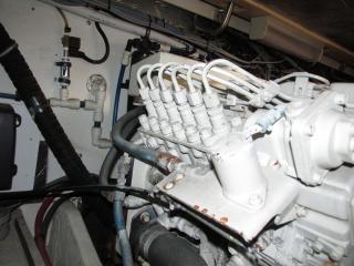 PURSUTパスート 3400 EXPRES FISH