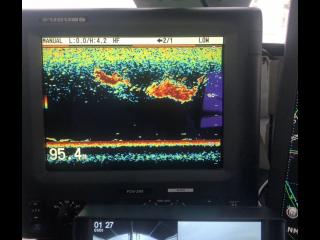 フルノ FCV295