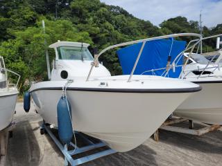 ヤンマー FX23A-OS