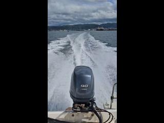 トーハツ TF225