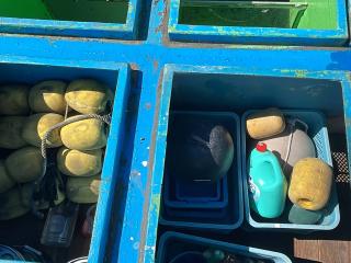 前川造船所 遊漁船仕様42フィート