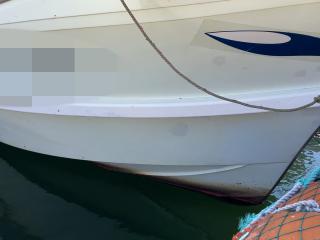 ヤンマー あらしおDE41F