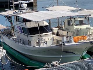 ヤマハ DY-34B-1A