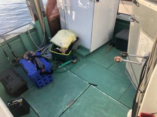 ヤンマー あらしおDE33
