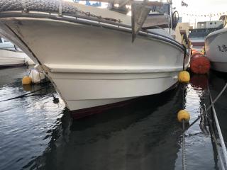 ヤンマー あらしおDE33