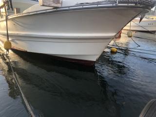 ヤンマー あらしおDE33