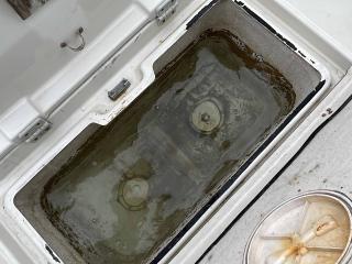ニッサン サンクルーズ730(PFB730S)