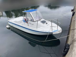 ヤンマー EF20Z B