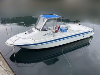 ヤンマー EF20Z B