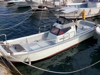 ヤンマー DE24B-HS