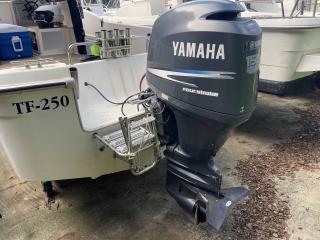 トーハツ TF250
