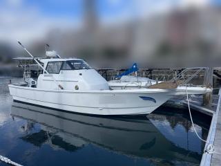 ヤマハ FG33(DY33P-GGR)