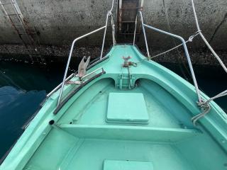 ヤンマー ZG29AP