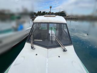 ヤンマー ZG29AP