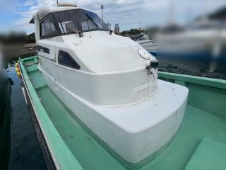 ヤンマー ZG29AP