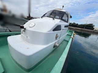 ヤンマー ZG29AP