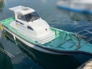 ヤンマー ZG29AP