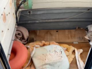 ヤンマー とびうおDE26DZ