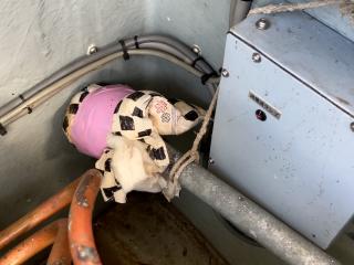 ヤンマー あらしおDE34BF