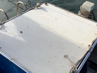 ヤンマー あらしおDE34BF