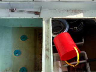 ヤンマー ZD32C5