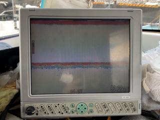 ヤンマー ZD32C5