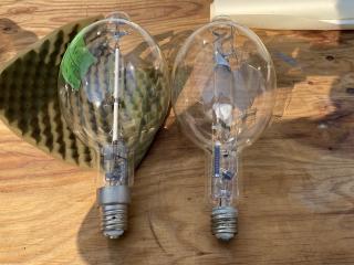 集魚灯 100V 1kw電球×2個セット