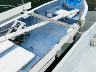 ヤマハ W-19F