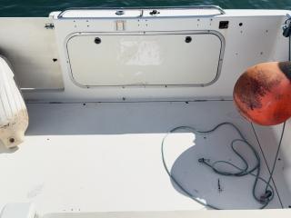 ベイライナー シエラサンブリッジ2655