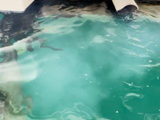 堤造船所 35フィート漁船
