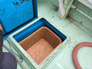 共立レジンクラフト もじゃこ船52フィート