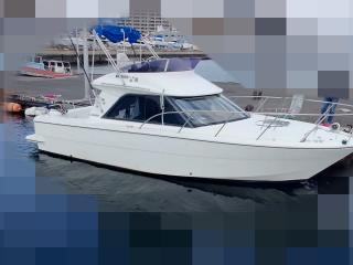 ヤマハ CR-28 FB