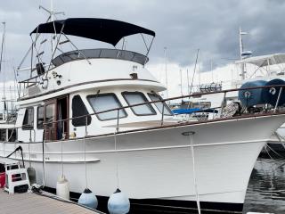 アルビン ALBIN MARINE 43