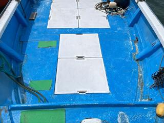 ヤンマー はやしおDE33