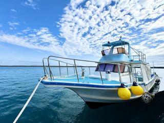 浜本造船所 503WJダイビング