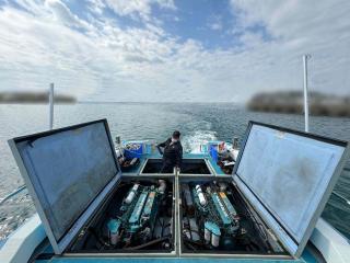 浜本造船所 503WJダイビング