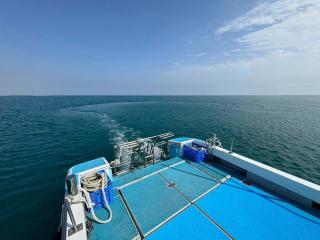 浜本造船所 503WJダイビング
