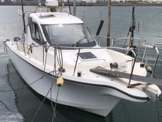 ヤマハ YF27 EX