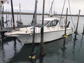 ヤマハ YF27 EX