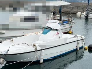 ヤンマー ウイングラン LF20Z-IS