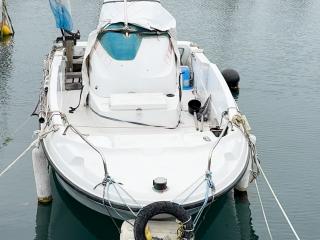 ヤンマー ウイングラン LF20Z-IS