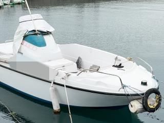 ヤンマー ウイングラン LF20Z-IS