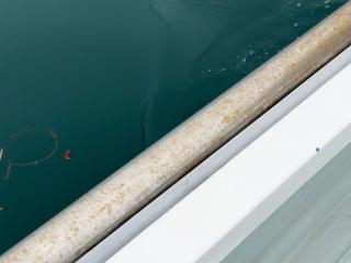 ヤンマー DE24B