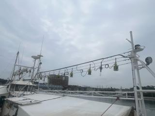 ヤマハ DY53