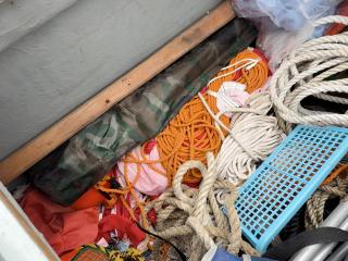 ヤンマー はやしおDE35F