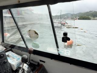 ヤンマー はやしおDE35F