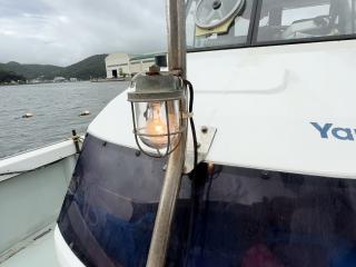 ヤンマー はやしおDE35F