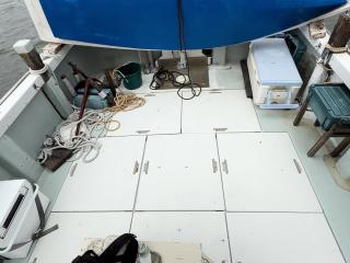 ヤンマー はやしおDE35F