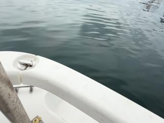 トヨタ ポーナム28Ⅲ