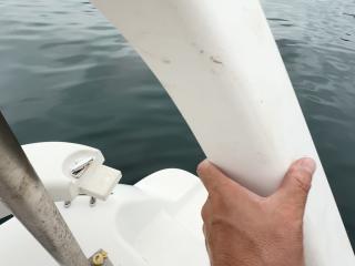 トヨタ ポーナム28Ⅲ